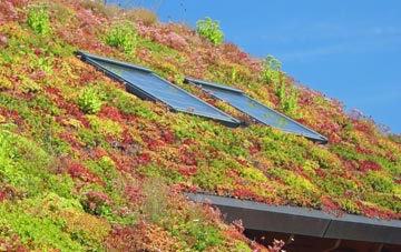 Lybster living roof systems
