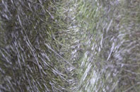 Lybster fibreglass roof work